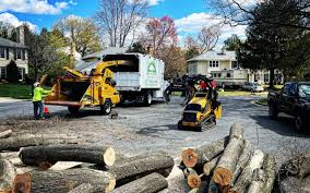 Why Choose Our Tree Removal Services in Redgranite, WI?